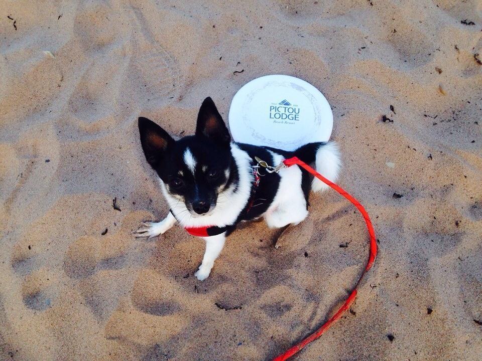 Pictou Lodge Beach Resort ภายนอก รูปภาพ