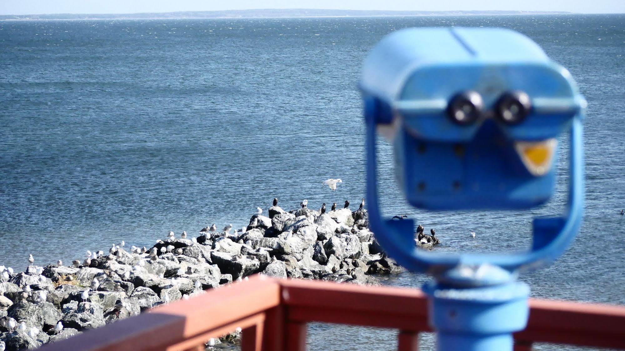 Pictou Lodge Beach Resort ภายนอก รูปภาพ